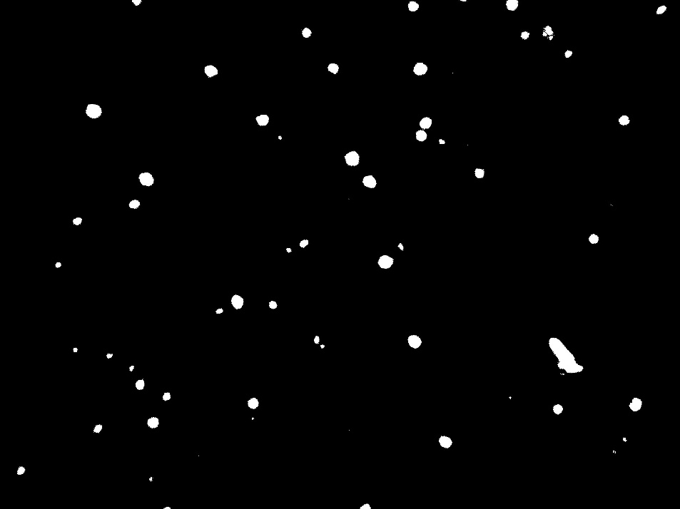 White dots on a black background AI-generated content may be incorrect.